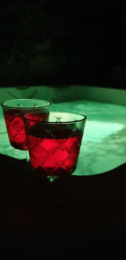 Maison De Maitre A Bram # Jacuzzi Bagian luar foto