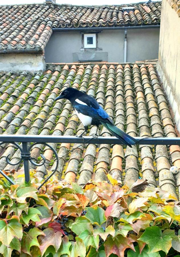 Maison De Maitre A Bram # Jacuzzi Bagian luar foto